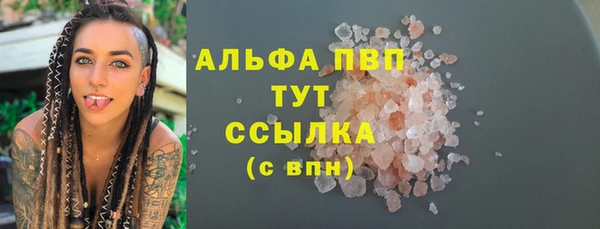 прущий лед Алзамай