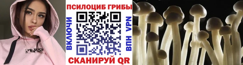 Псилоцибиновые грибы прущие грибы  Кудрово 