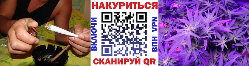 Конопля семена  где купить наркоту  Кудрово 